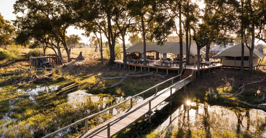 bridge-to-duba-explorers-camp.jpg