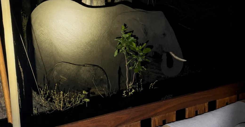 eles-next-to-tent.png