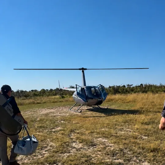 helicopter-horizons.png