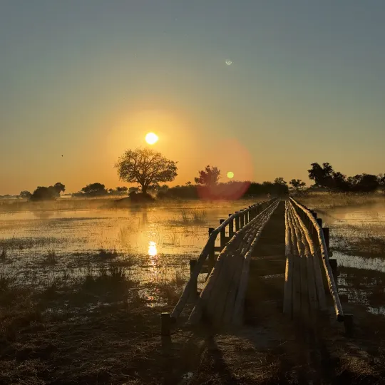 misty-delta-sunrise.png