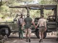 Walking towards a safari car