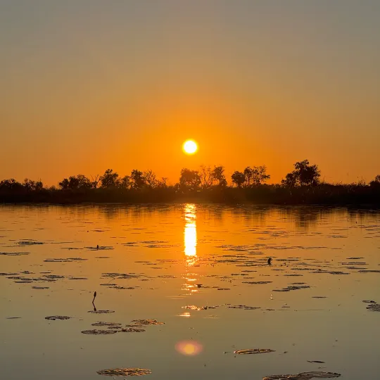 sunset-cruise.png